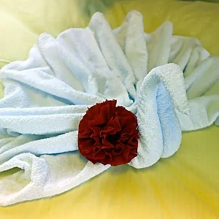 Hotel Business & Linz